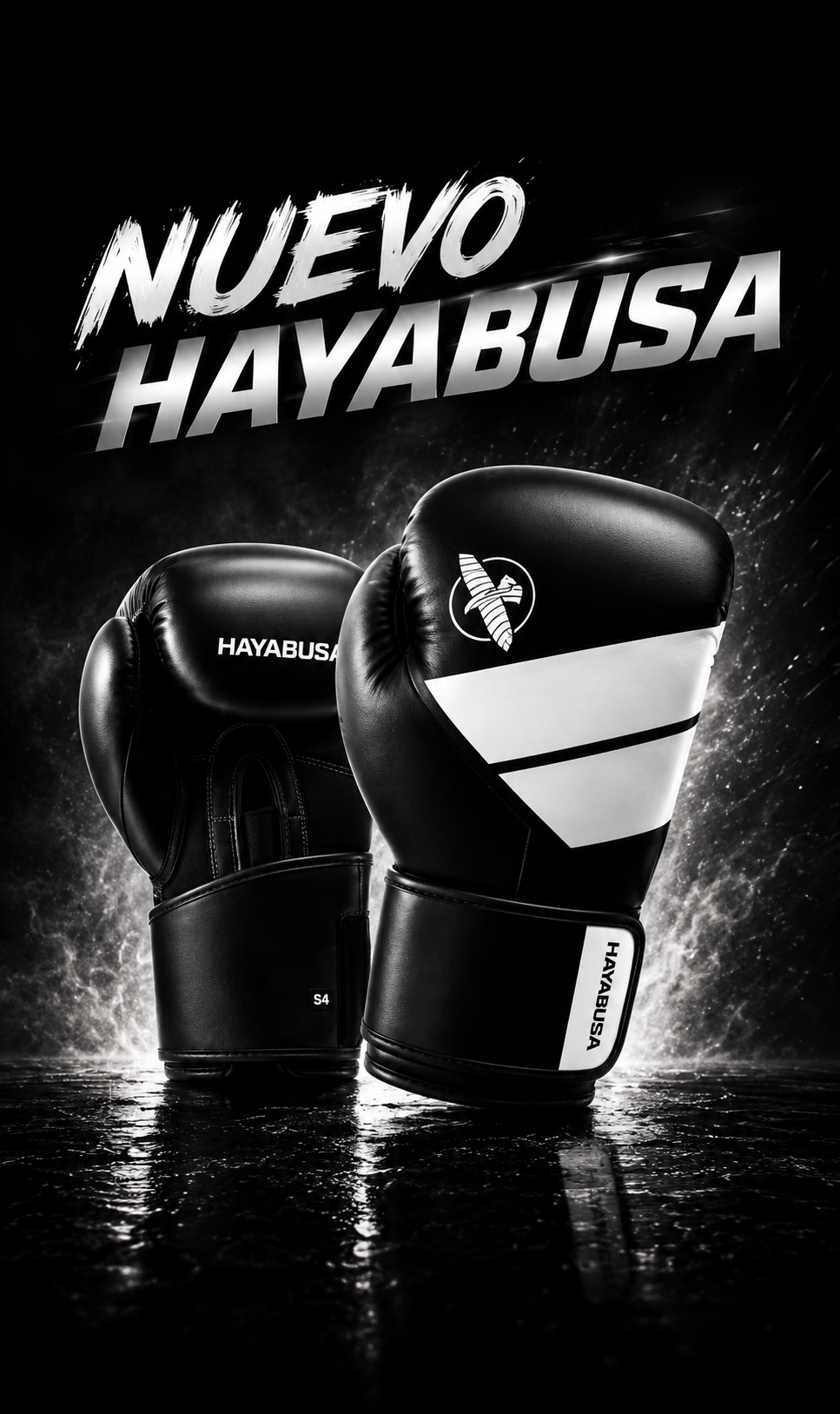 HAYABUSA