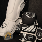 Kit sparring MMA